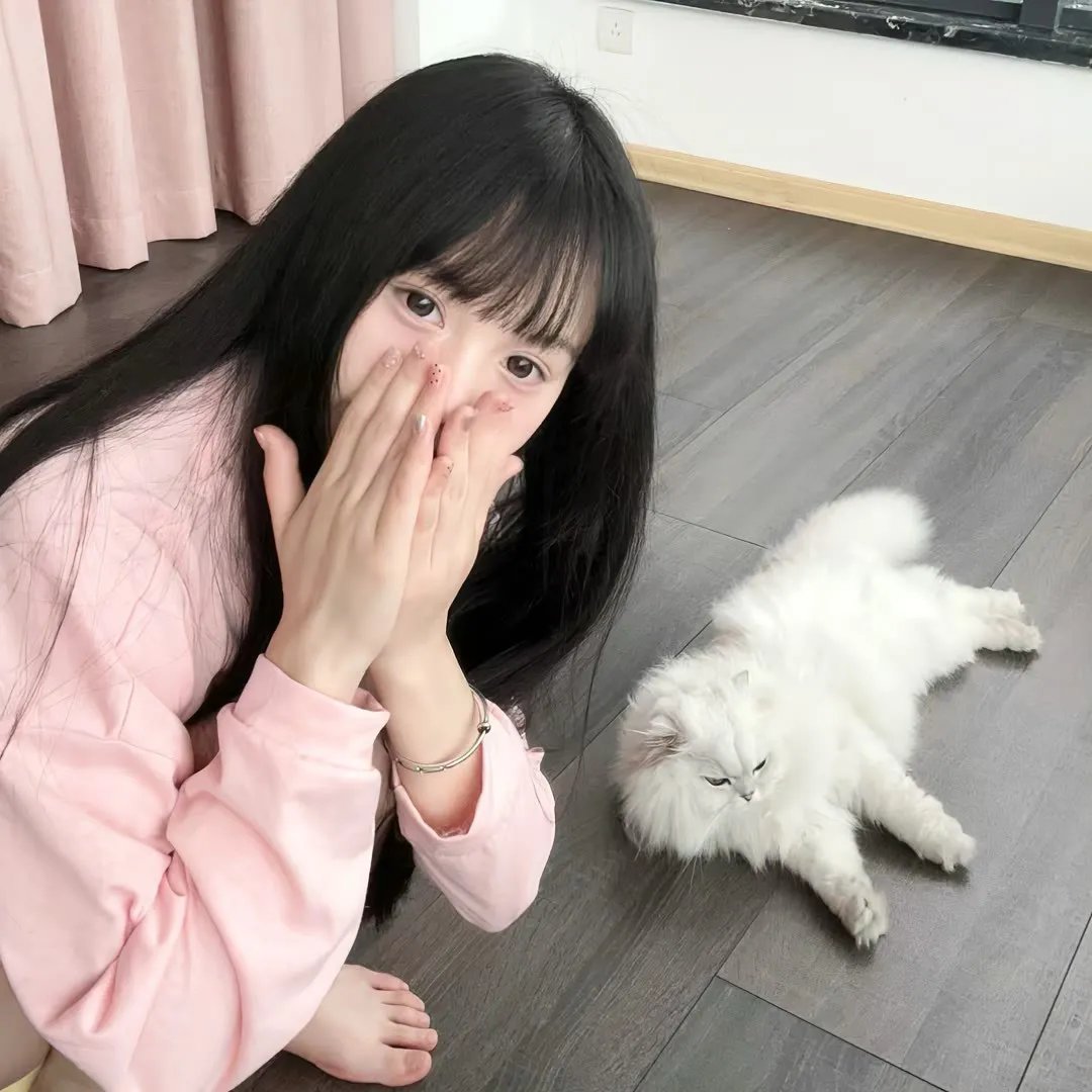 来自日本的机器狗